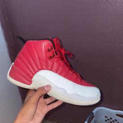 Jordan 12 Size 9