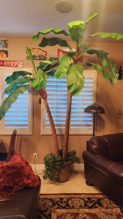10 Foot Silk Banana Tree in Ceramic Pot