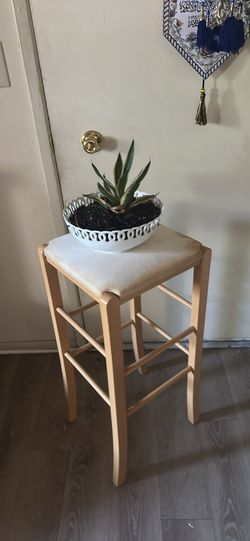 Stand with  fresh plant both $25