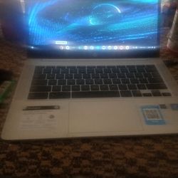 Hp Chrome Book