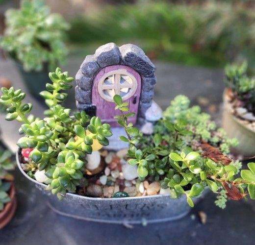 HUGE PLANT SALE THIS SUNDAY IN SAN LORENZO 1PM TO 6PM