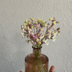 Fresh Flowers 