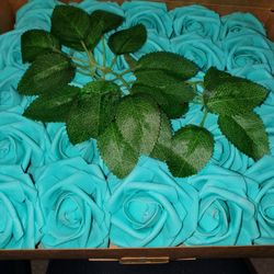 New in package 25 foam roses