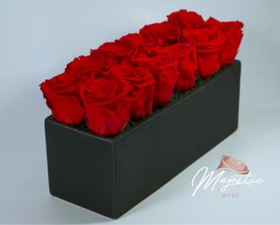 Preserved Roses( they last 1 year)