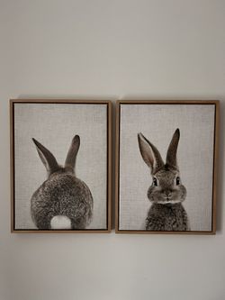 Baby Bunny Portrait / Wall Art