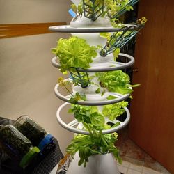 Grow System