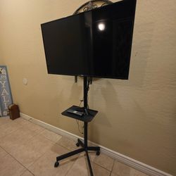Tv With Stand 