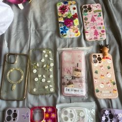 iPhone 13 Pro Max  Phone Case 