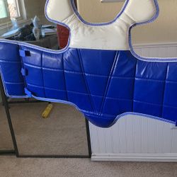 sparring chest pad + headgear OBO