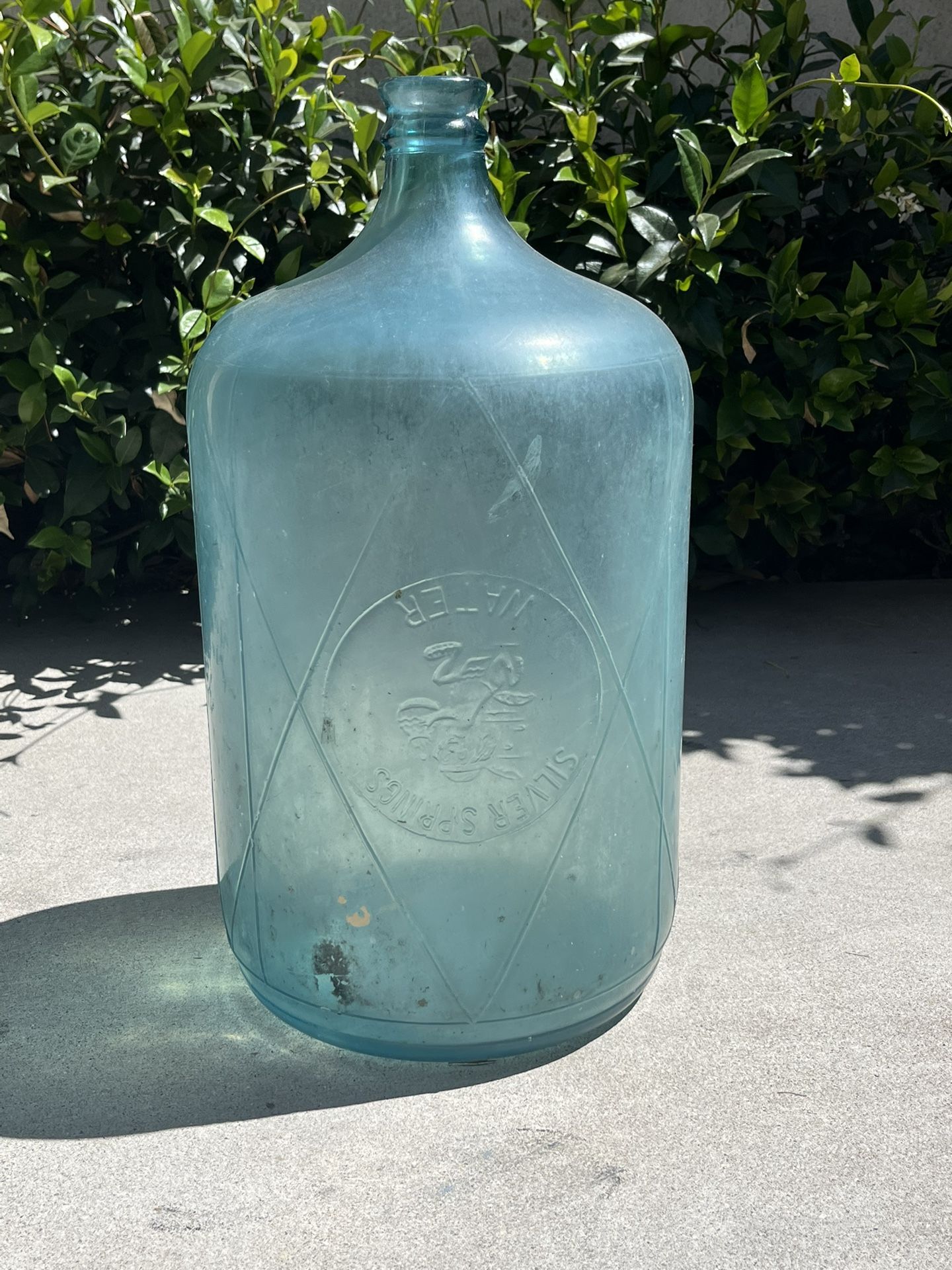 Vintage Silver Springs Glass Water Bottle