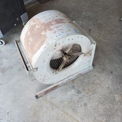 Belt Drive Squirrel Cage Blower