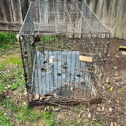 large dog cage 
