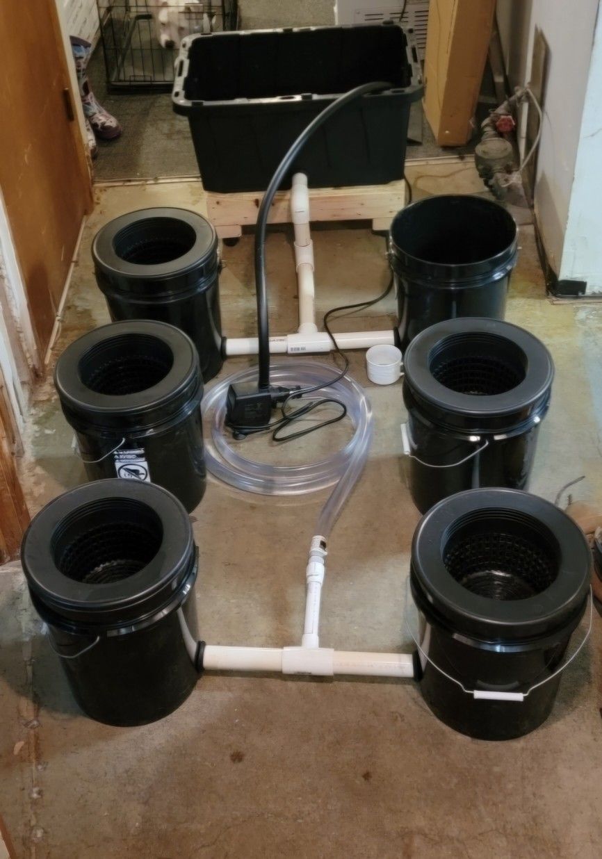 Hydroponic Deep Water Current System (Dwc)