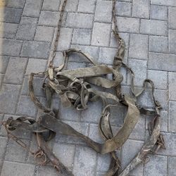 Horse Tack