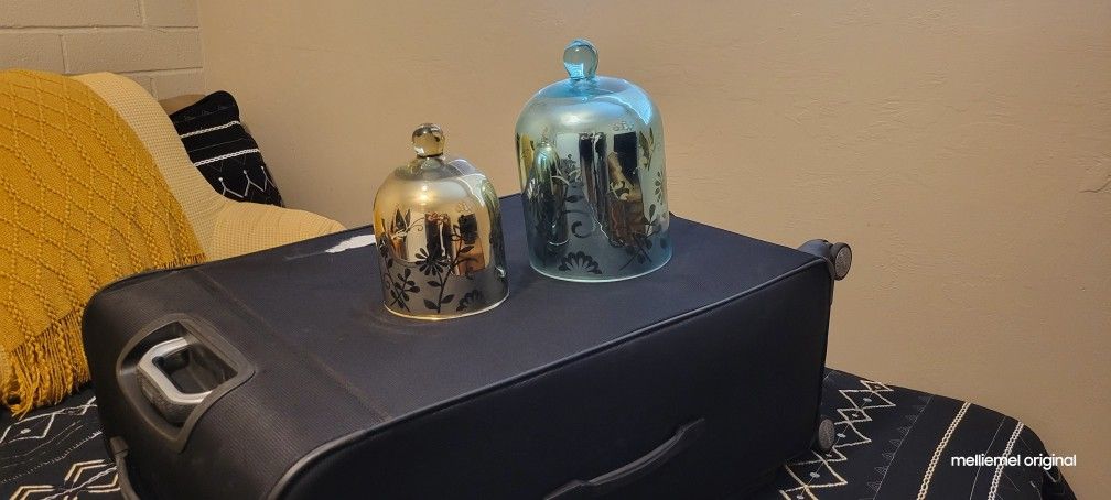 Elegant Glass Cloches