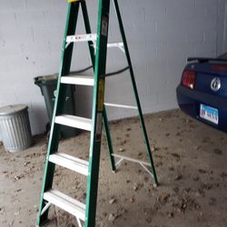 Davidson Fiberglass 6’ Ladder