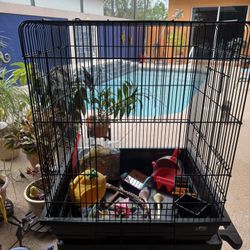 Large Bird Cage And More