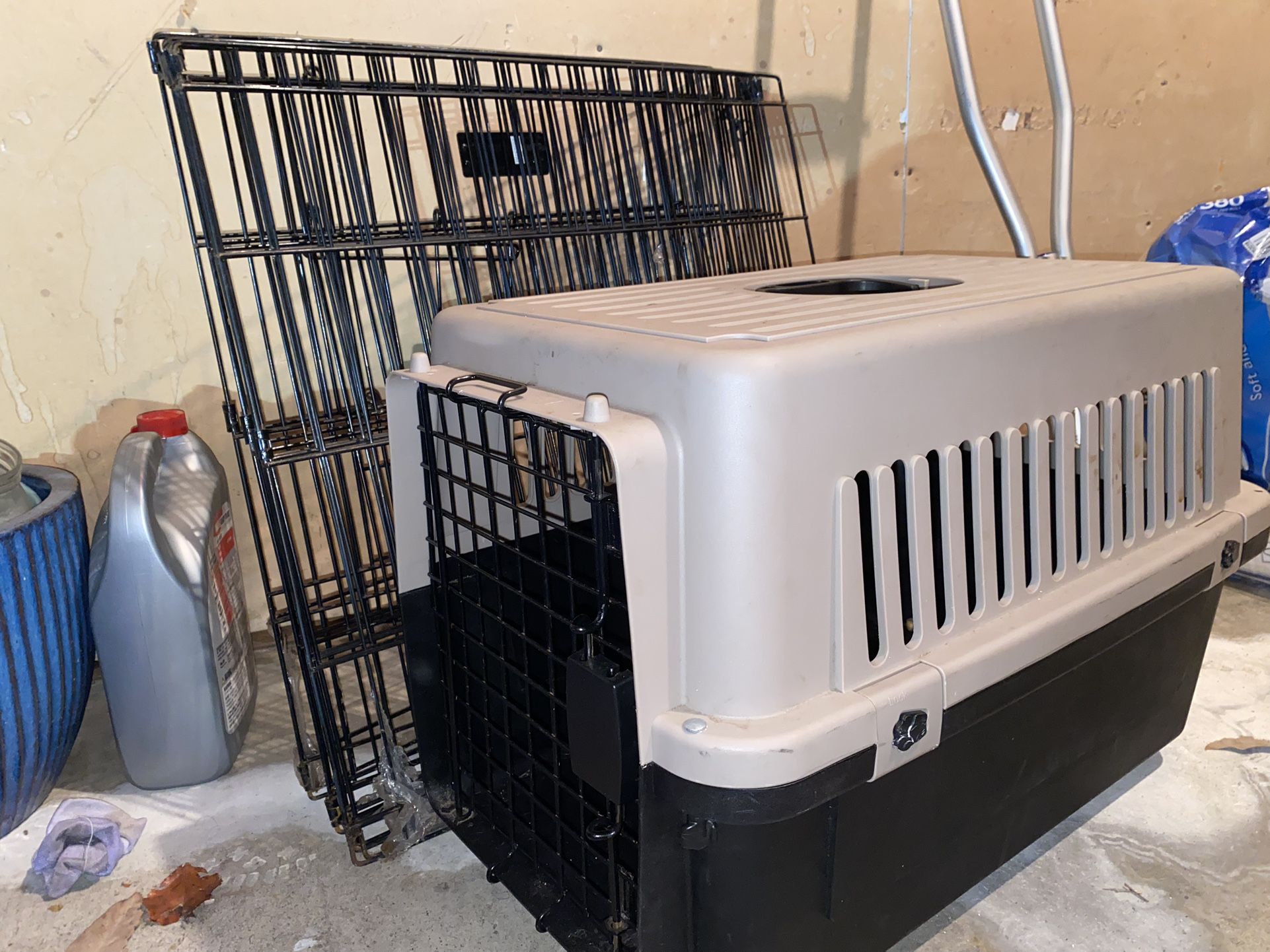 Puppy Supplies
