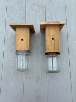 Carpenter Bee Traps