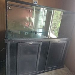 Fish Tank Aquarium 160 Gallon 