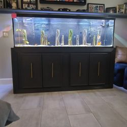 125 Gallon Aquarium 