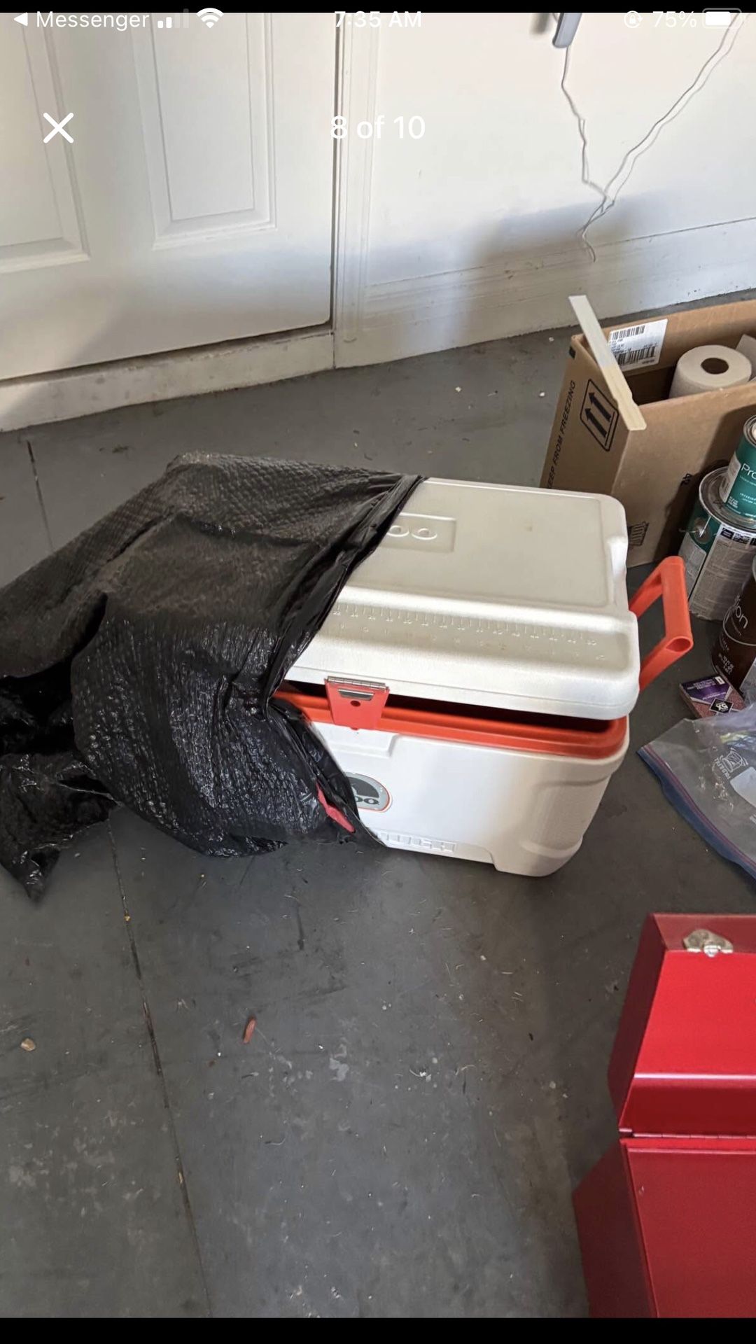 Igloo Cooler 