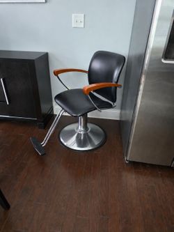 Salon Chair