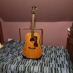 Guitar Guild D 40