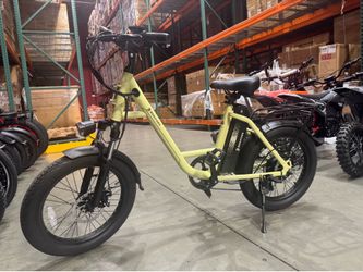 Branded electric bicycle