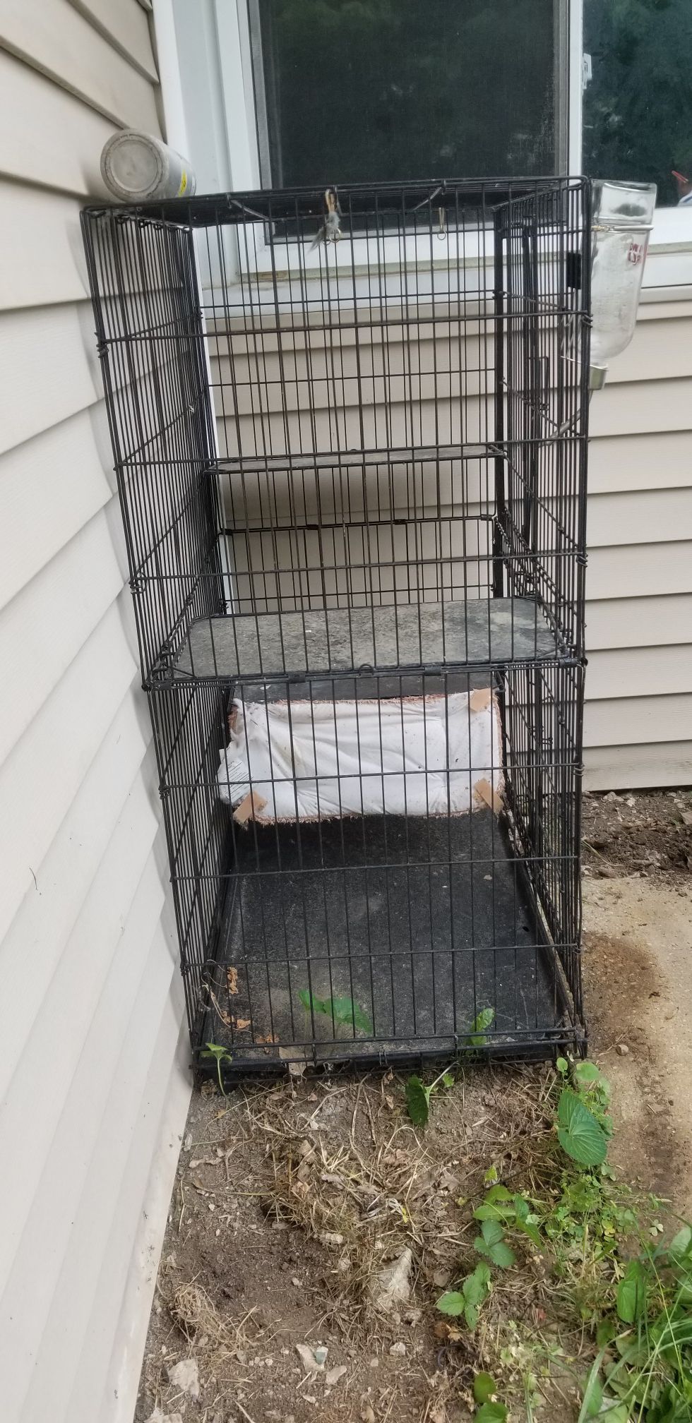 cage for parrots, birds or bunnies