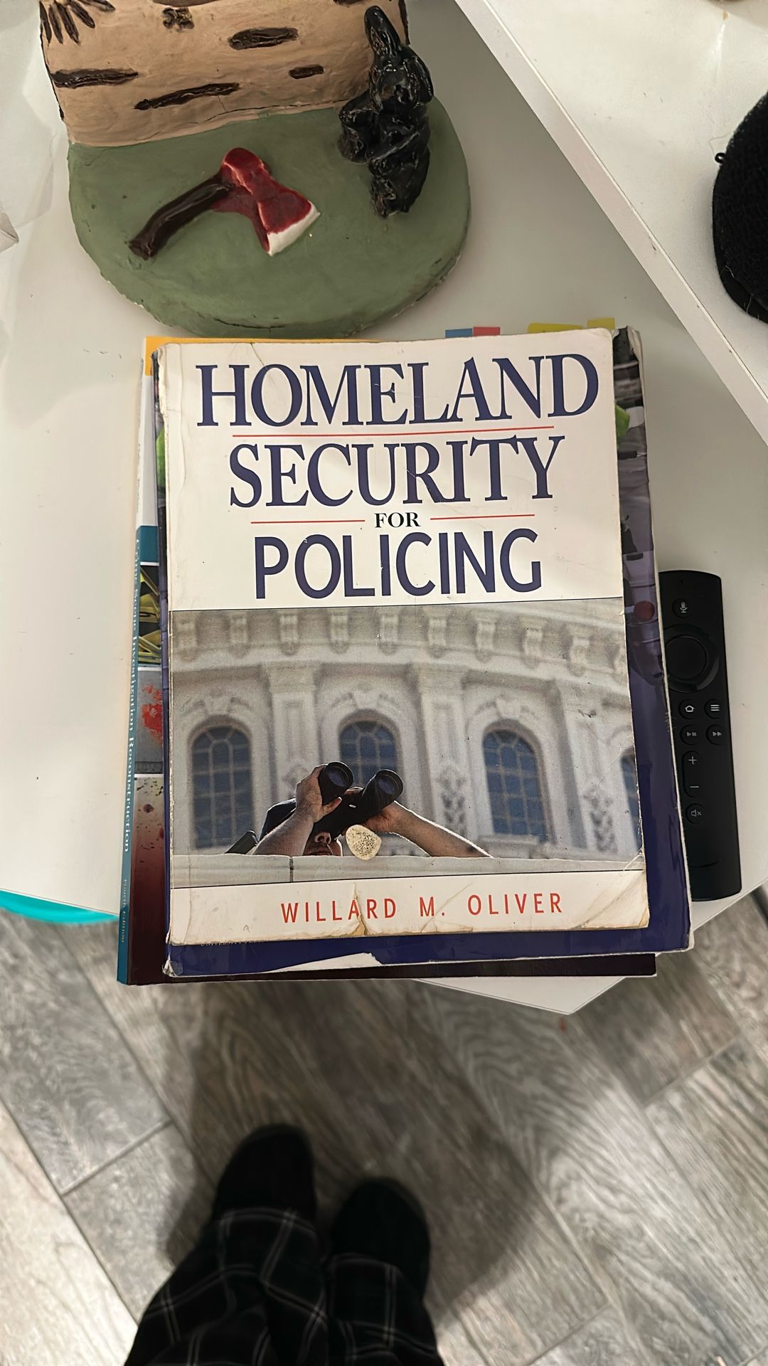 College Books Homeland Security For Policing