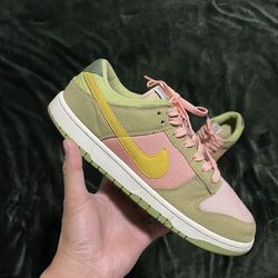 Sz 9.5 Nike Lows Dunks $40 FIRM NO TRADES