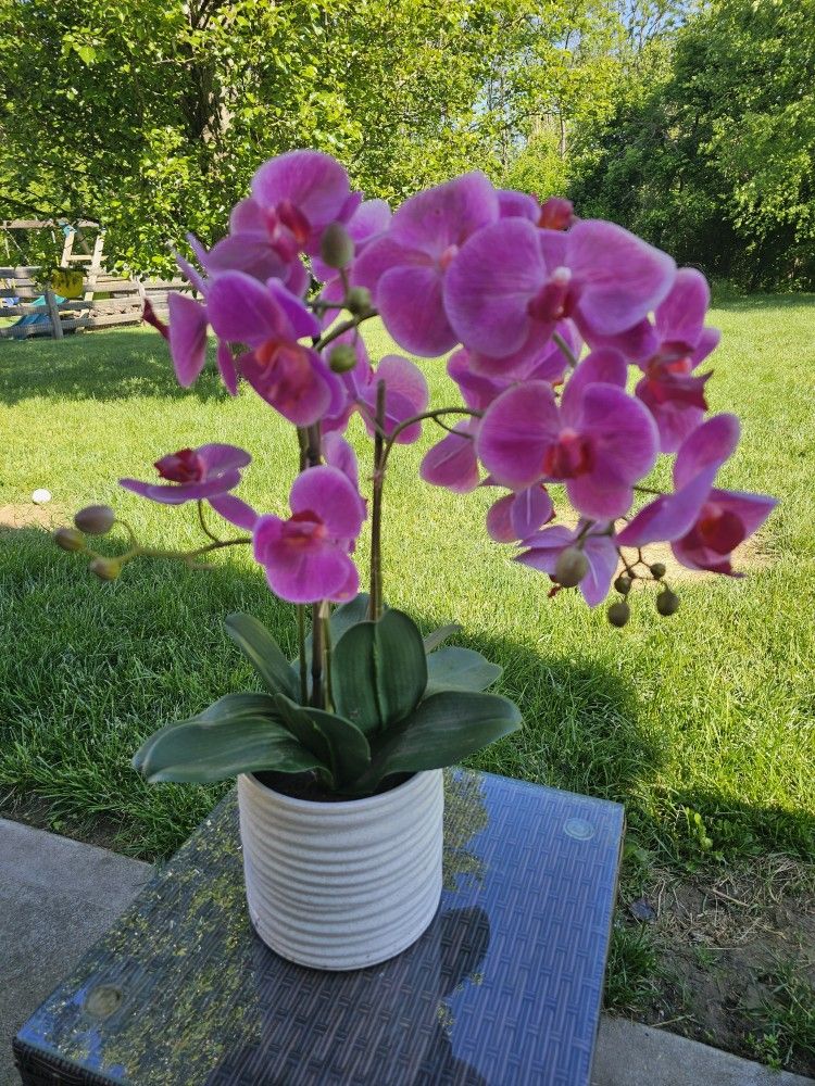 $35.00 - Large Faux Orchid/Ceramic Pot - PICKUP THIS SATURDAY AT THE WOODLANDS IN MORROW COMMUNITY GARAGE SALE!!