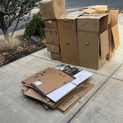 Free Moving Boxes- Must Take Them All