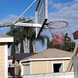 Basketball Court 