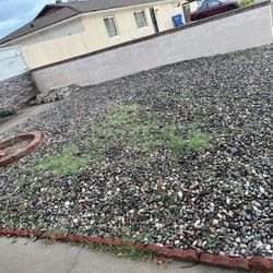 FREE.  River Rock Yard Decor 