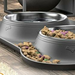 Dog Bowls