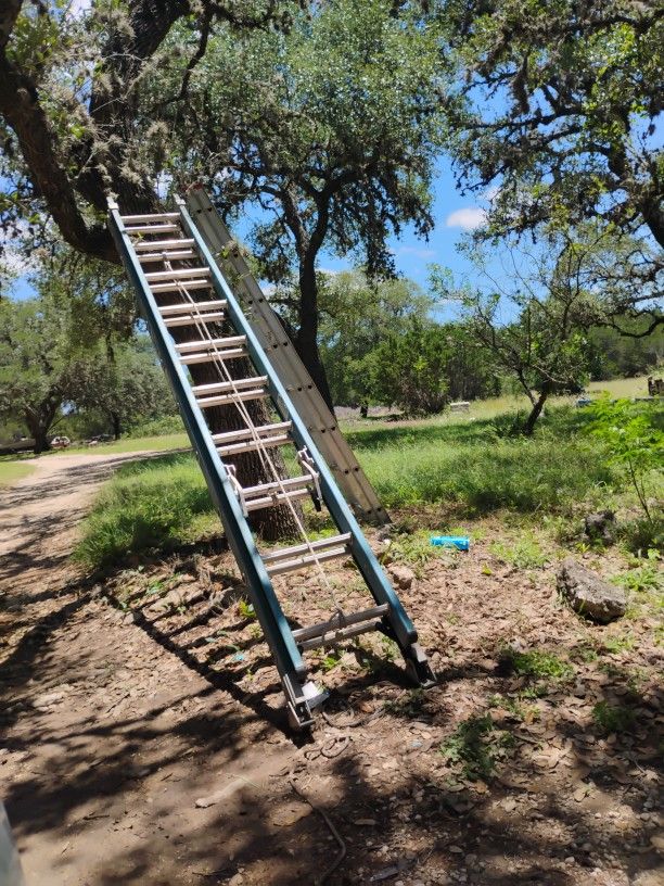 2 Ladders
