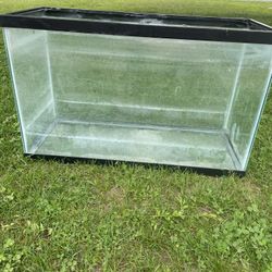 20 Gallon aquarium 