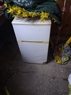 Mini Fridge ...waist High 