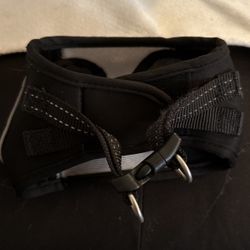 Harness