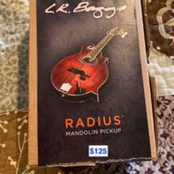 Mandolin Delivery Fisherman and LR Baggs 