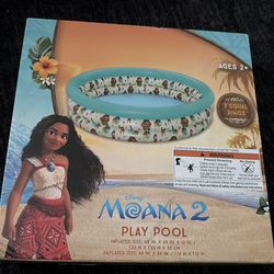 Pool and pool boat floaty