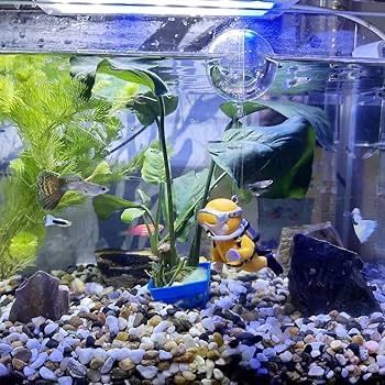 Fish Tank Decorations
