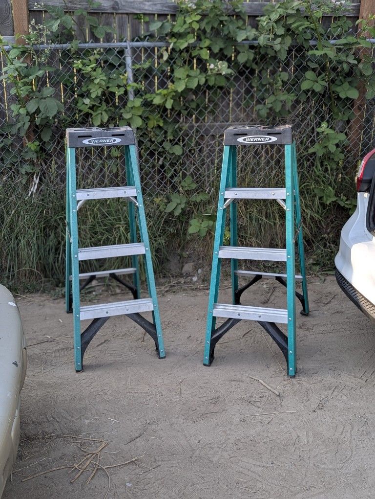 Werner 4' Fiberglass Ladder