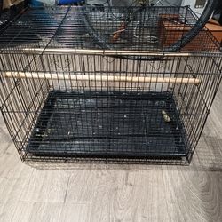 Cage For Birds