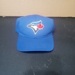 Toronto Blue Jays Hat