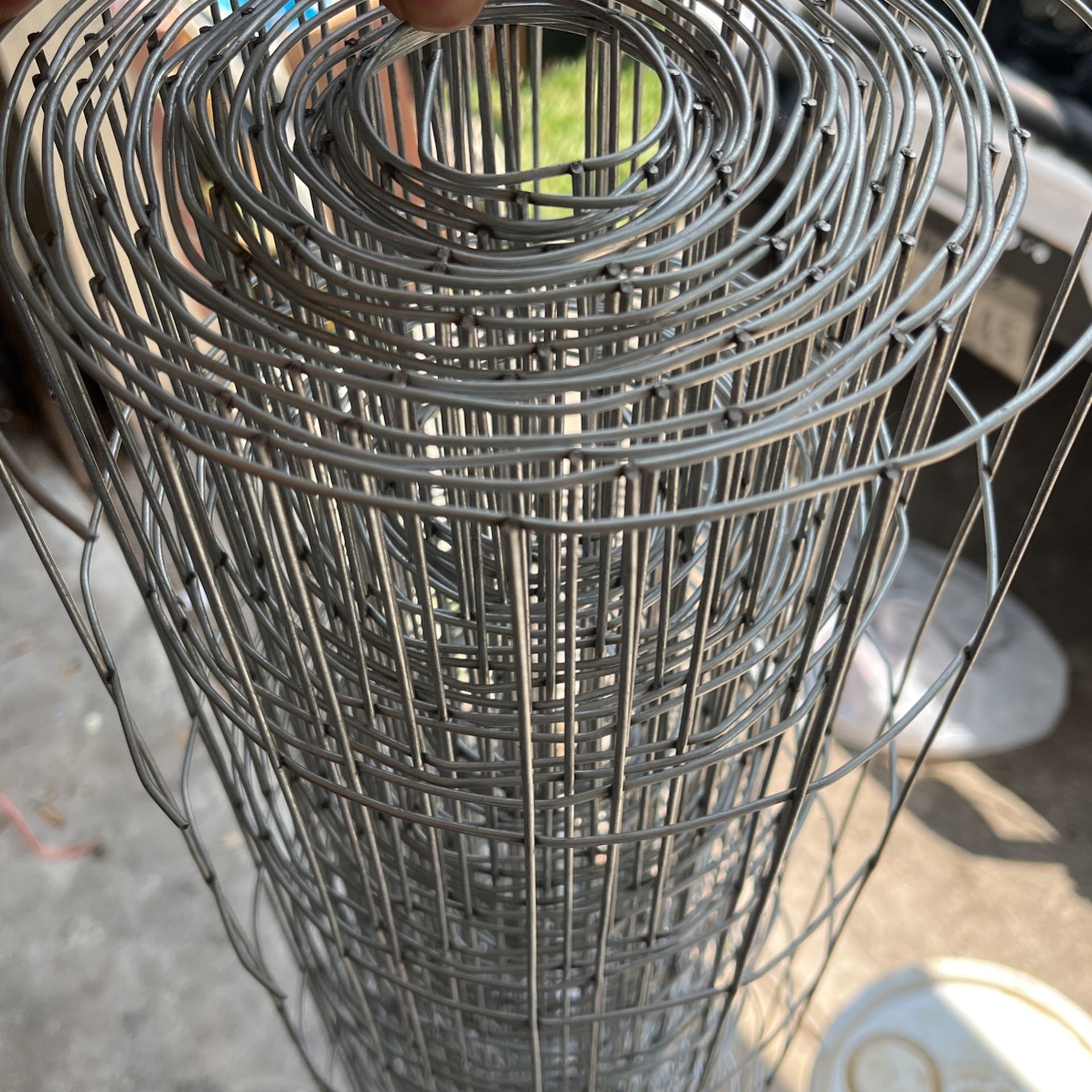 Chicken Wire 5ft Tall 10-20 Ft Long
