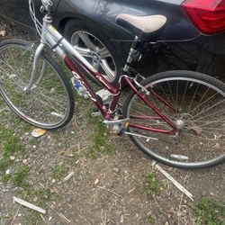 Giant Bike 