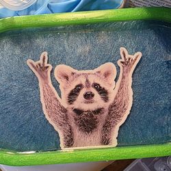 Rockin Raccoon Oval Dish